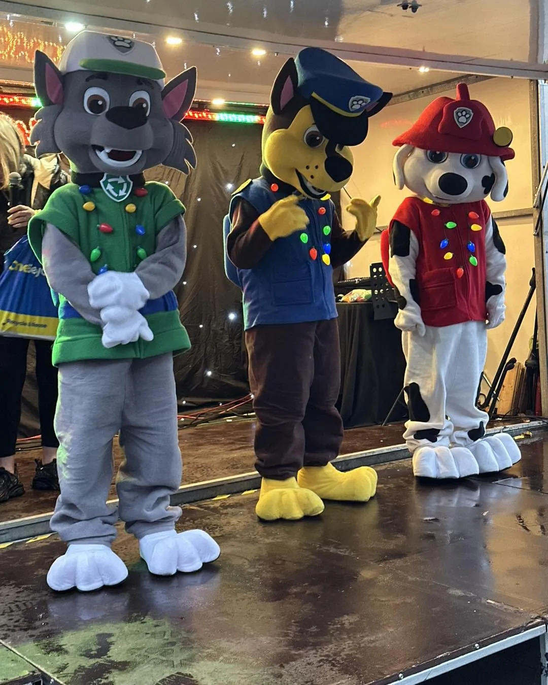 Paw patrol