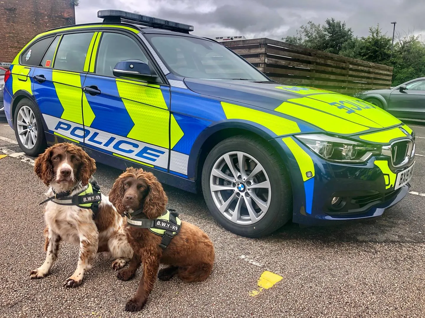police dogs