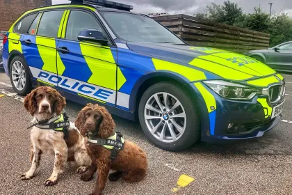 police dogs jigsaw puzzle
