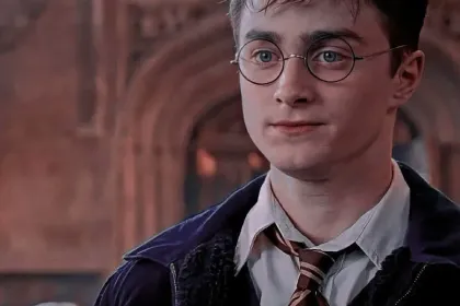 e.g. Harry Potter just chilling jigsaw puzzle