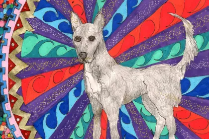 abstract dog jigsaw puzzle