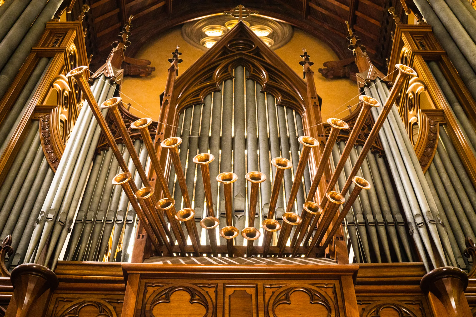 Cathedral Pipe Organ