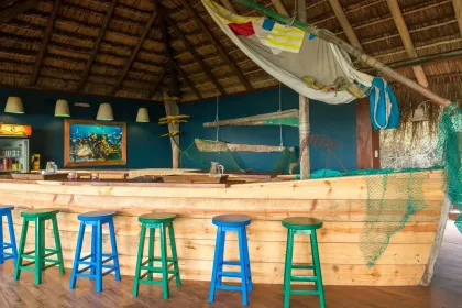 watering hole  bar jigsaw puzzle