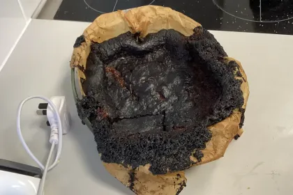 Burnt brookie awwww jigsaw puzzle