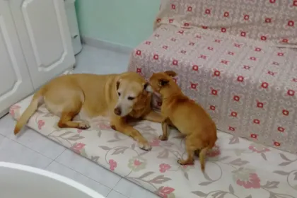 Max andCeline jigsaw puzzle