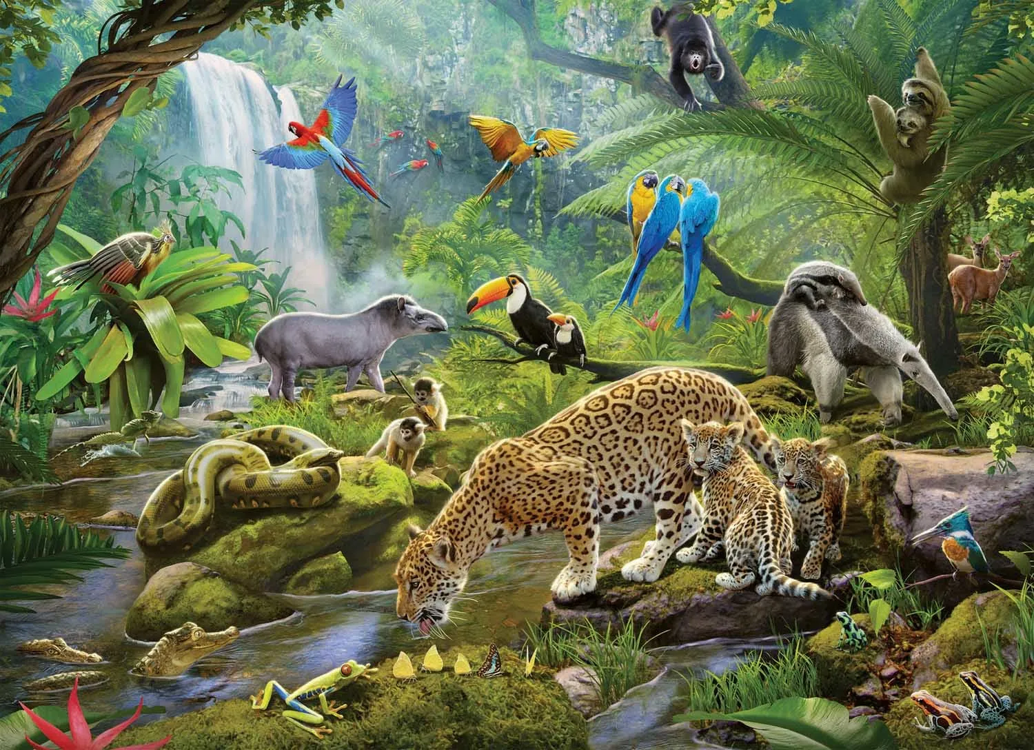 Rainforest Animals