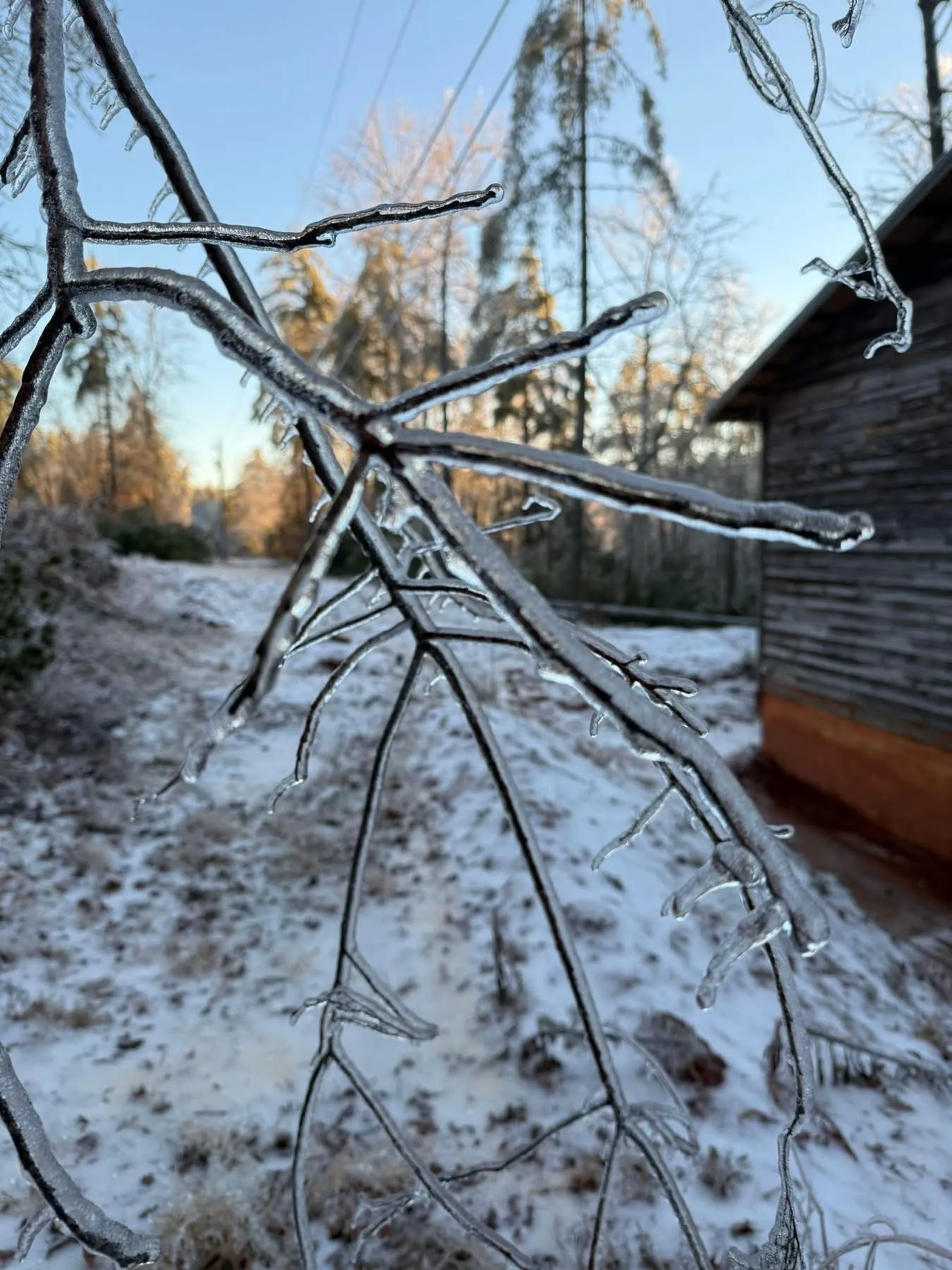 Icy Branch