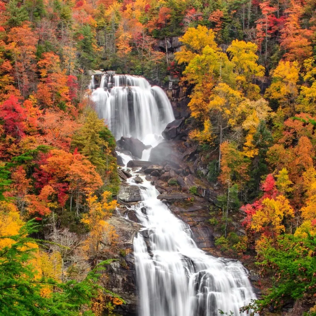 White Water Falls- Autumn