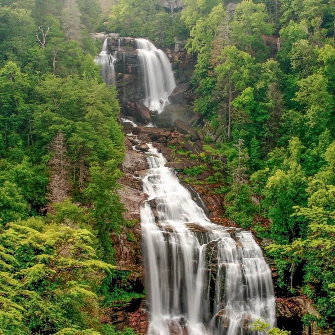 White Water Falls- Spring