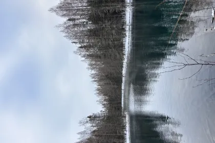 michigan jigsaw puzzle