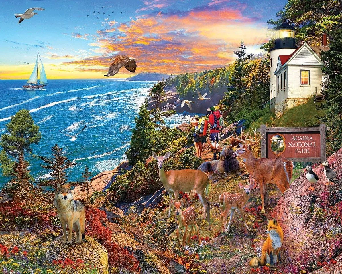 Acadia National Park