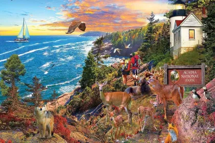 Acadia National Park jigsaw puzzle