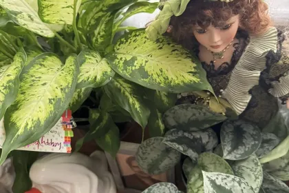 hiding jigsaw puzzle