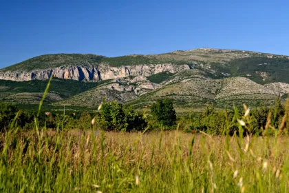 Promina jigsaw puzzle