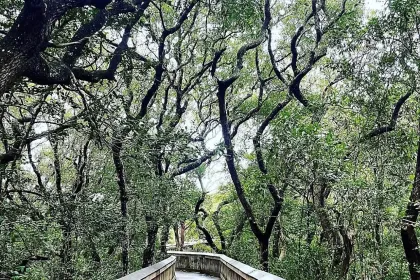 Coastal Walkway jigsaw puzzle