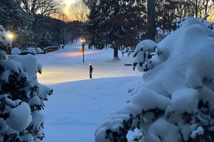 Snowy Scene jigsaw puzzle