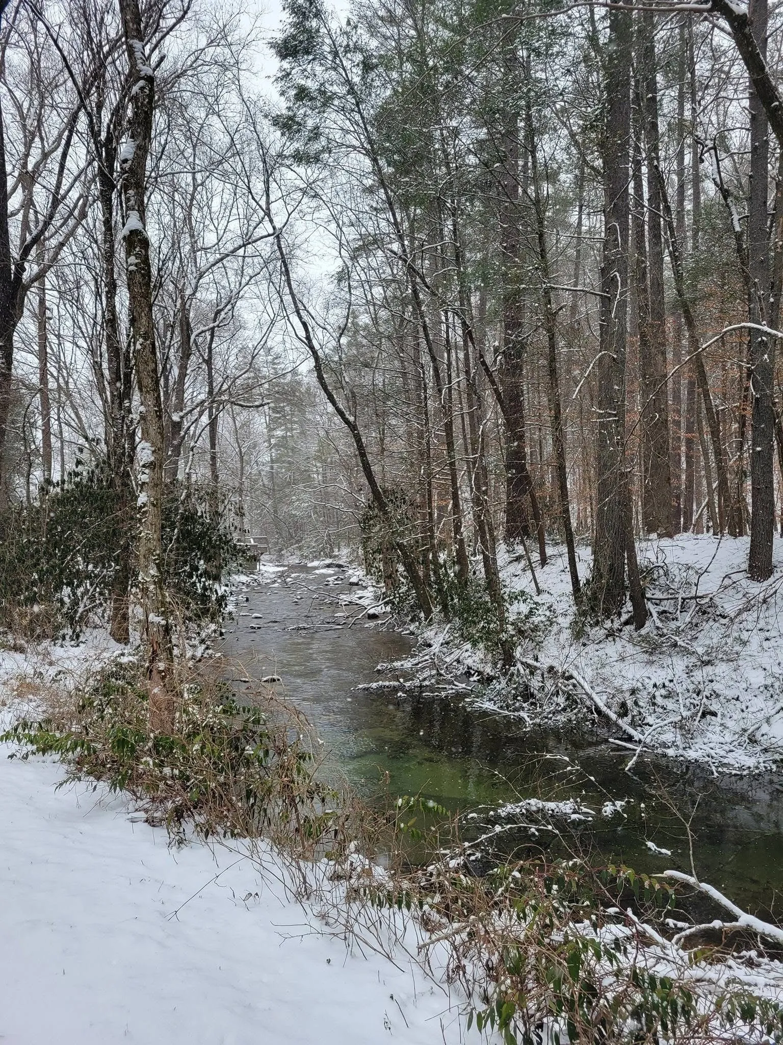 Snowy Stream