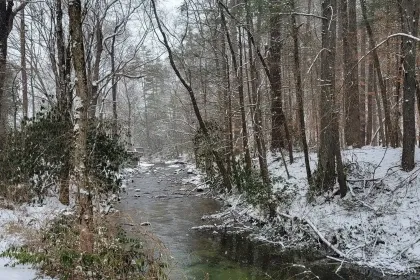 Snowy Stream jigsaw puzzle
