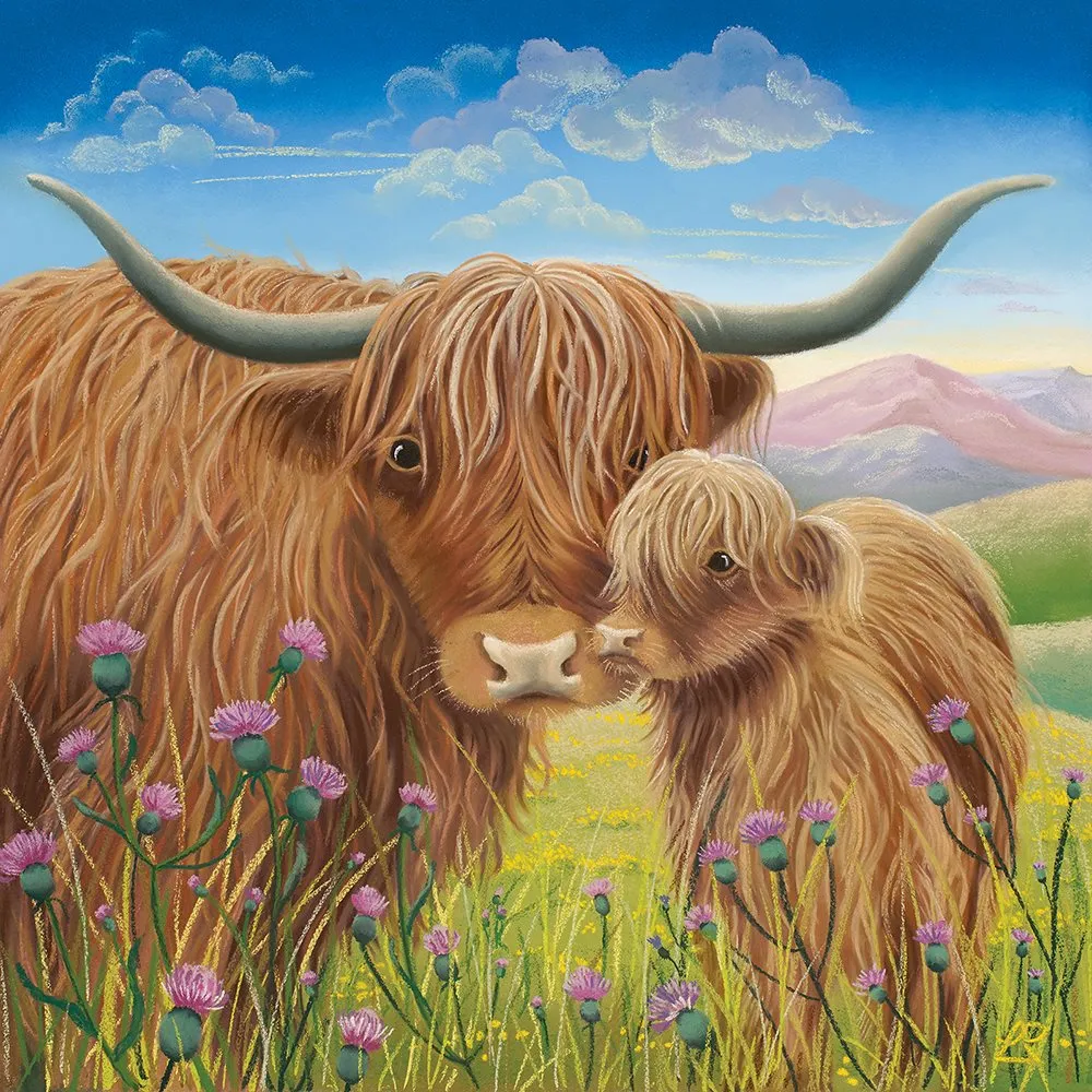 Highland cows