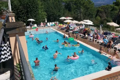 Summer jigsaw puzzle