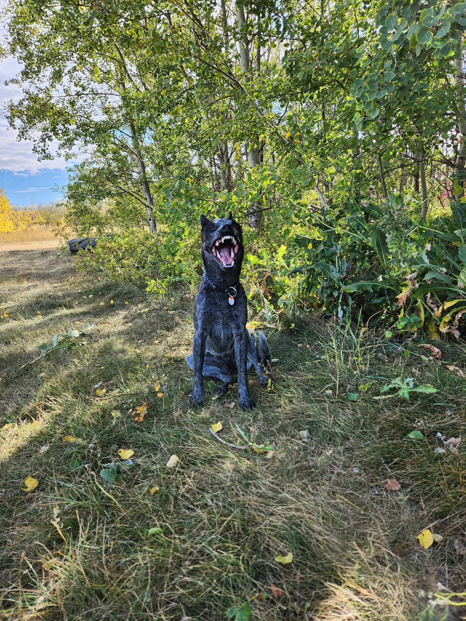 Time out on the trail