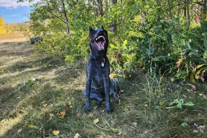 Time out on the trail jigsaw puzzle