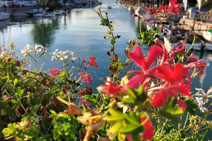 Garden view jigsaw puzzle