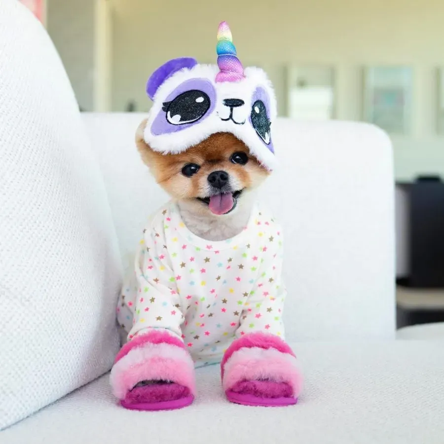 Unicorn Panda Puppy