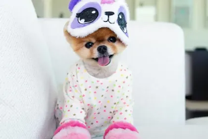 Unicorn Panda Puppy jigsaw puzzle