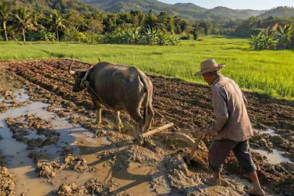 Plough jigsaw puzzle