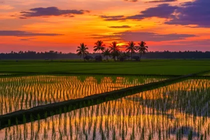 Sundown jigsaw puzzle