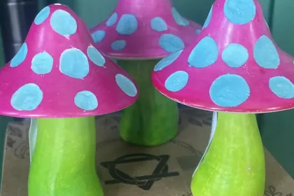 Toadstools jigsaw puzzle