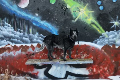 Dog in Space jigsaw puzzle